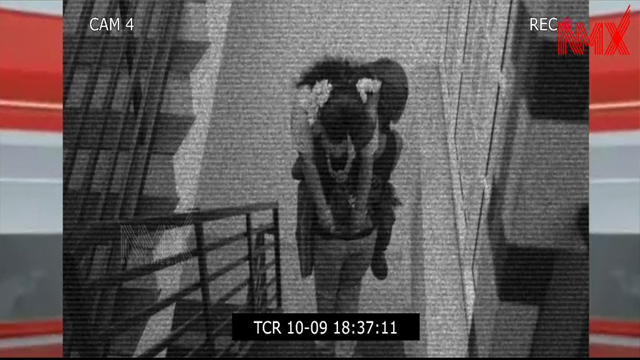 Bad Chemist Roy Ep 1 – 2025 Nila Nambiar – Nmxseries New Malayalam Series